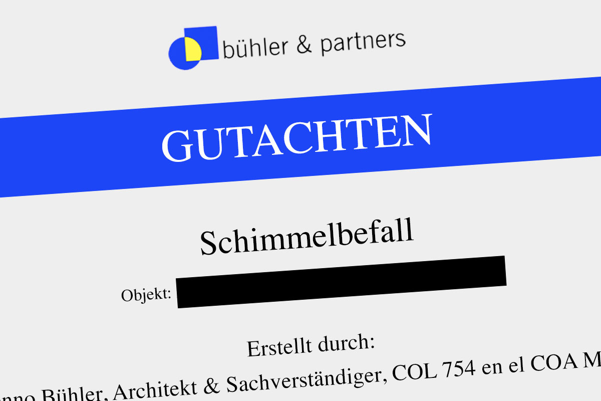 Gutachter Schimmel